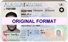 Alaska identity new identity novelty id software cards pvc id for alaska new ids, props film id cards alaska