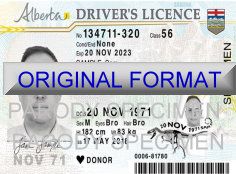 alberta fake id, scannable fake alberta drivers license, fake id alberta