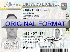 Alberta Fake Driver License Format ID Cards Designs Templates Novelty Software Card Hologram
