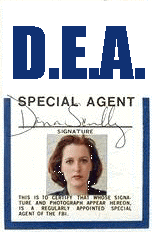 novelty id, novelty id card, driver license novelty D.E.A. AGENT  card, new identity software design custom