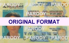 fake id louisiana with hologram scannable with security bar code