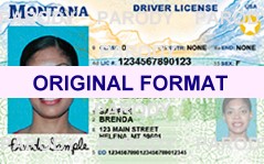 montana fake id cards, scannable with hreal hologram