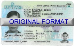 NEW BRUNSWICK DRIVER LICENSE ORIGINAL FORMAT, DESIGN SPECIFICATIONS, NOVELTY SECURITY CARD PROFILES, IDENTITY, NEW SOFTWARE ID SOFTWARE NEW BRUNSWICK driver