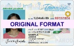 tennessee fake drivers license scannable with holograms