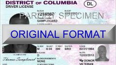 WASHINGTON DC FAKE IDS WASHINGTON DC SCANNABLE FAKE ID CARDS WITH HOLOGRAMS