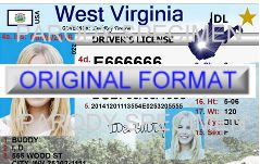 novelty id, novelty id card, driver license novelty west virginia card, new identity software design custom