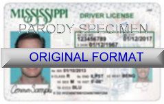 MISSISSIPPI FAKE IDS SCANNABLE FAKE MISSISSIPPI ID WITH HOLOGRAMS