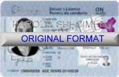 scannable ontario fake id, driving license, fakeids, ontario novelty id, fake driving license ontario